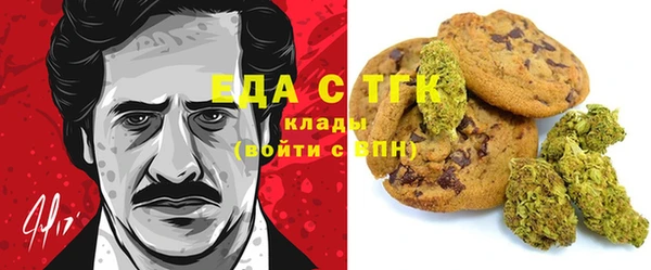 индика Долгопрудный