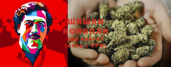индика Долгопрудный