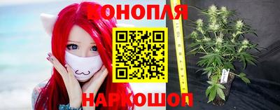 jwh Севастополь