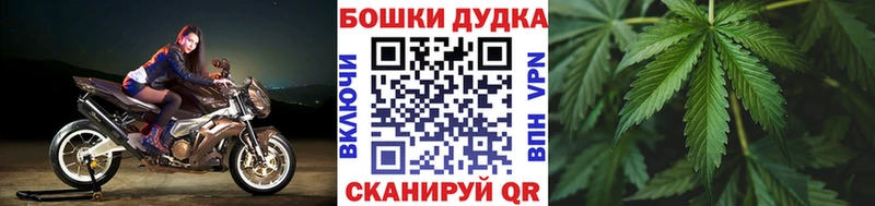 где купить наркоту  Балашов  Каннабис конопля 